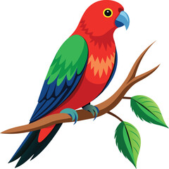 Parrot bird vector illustration