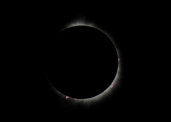 Solar Flares During The Total Eclipse From Terra Nova Park, Newfoundland, Canada