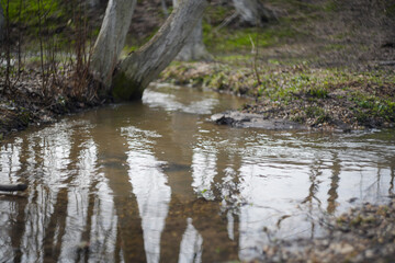 Spring stream