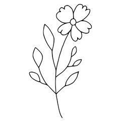 Simple Daisy Flower and Leaves Vector Illustration