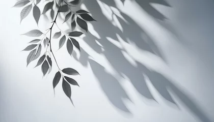 Foto op Plexiglas Blurry Tree Leaf Shadows on a Bright Gray Background © Behram