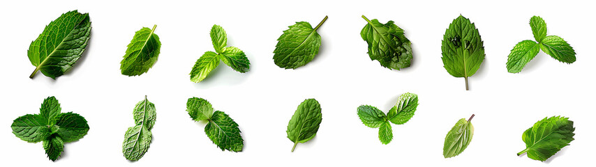 Mint leaves isolated on a white background,  generative AI 