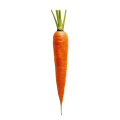 A single carrot stands out against a transparent background