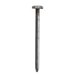 A galvanized nail stands out against a crisp transparent background on white screen