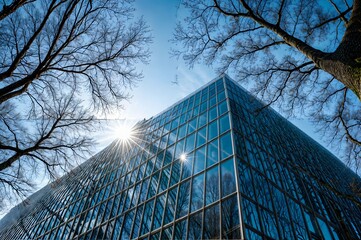  tall glass building with the sun reflecting on it, surrounded by leafless trees
