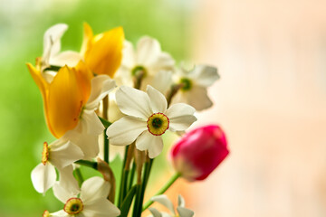A bouquet of tulips and narcissus flowers stands in a vase