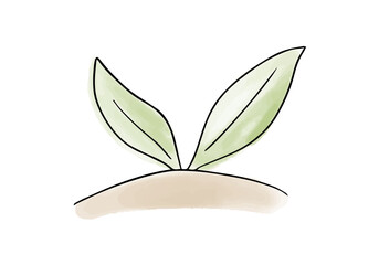 Plant watercolor doodle element, vector illustration.