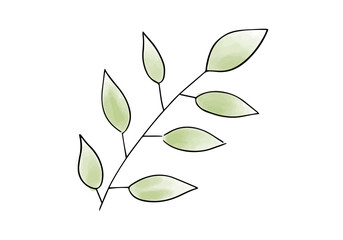 Green leaf watercolor doodle element. Vector illustration.