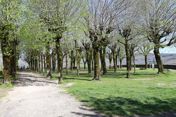 L'esplanade de Barrouze, parc public, village de Salers, département du Cantal, France