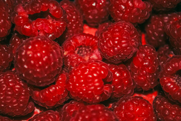 Macro shot of fresh raspberries on a red background. - obrazy, fototapety, plakaty