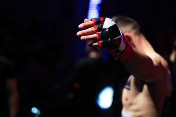 MMA glove on the fighter's hand during the referee's inspection before the fight