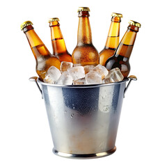 beer bottles transparent background