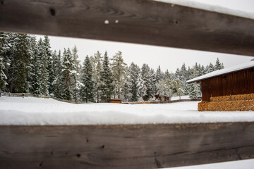 View through a wooden fence of a snow-covered cabin nestled among frosty trees.