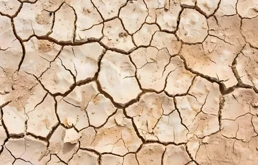 Foto op Plexiglas Cracked earth texture background, cracked soil. texture of grungy dry cracking parched earth. © EEKONG