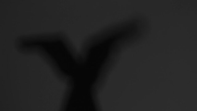 Female hands gesturing in the form of a bird on a light background in the dark under the light of a lantern and shadow