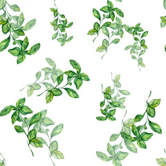 Seamless Pattern Green Juicy Basil Twigs. White Background. Watercolor Illustration. For Menus, Cookbooks, Recipes, Dishes, Cafe Business Cards, Packaging, Kitchen Textiles.