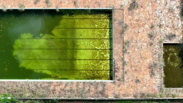 abandoned swimming pool with green dirty water