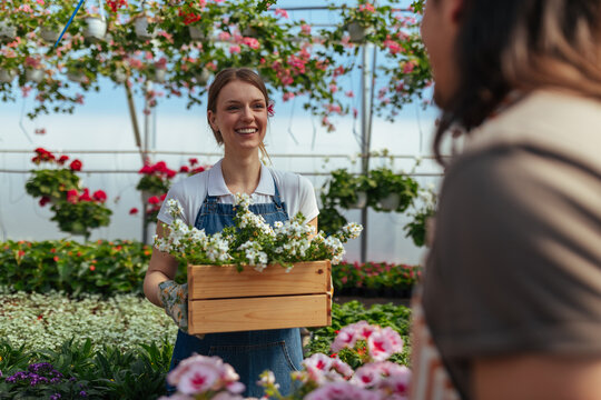 Female gardener presenting flowers to coworker