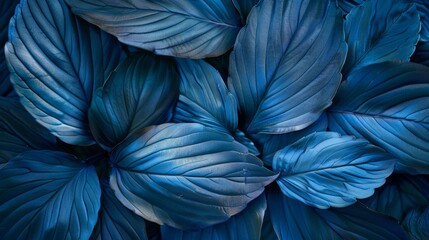 Cluster of vibrant blue leaves with intricate patterns and textures showcased in close-up