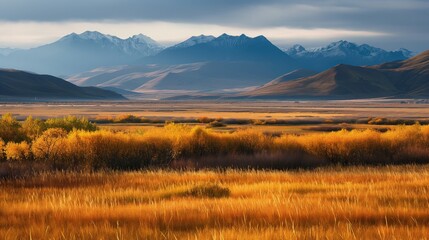 Beautiful view of a mountain range with a field of dry grass in front of it