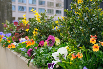 Fototapeta na wymiar city landscape design with colorful flowers