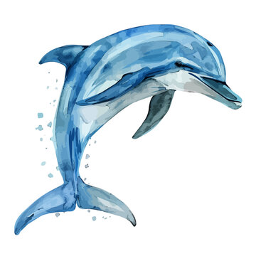 recommend clip art: Watercolor Vector painting of a dolphin, isolated on a white background, dolphin vector, dolphin clipart, dolphin art, dolphin painting, dolphin Graphic, drawing clipart.