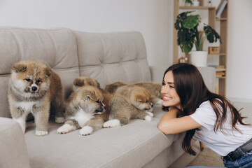Happy smiling millennial woman owner or volunteer playing with Akita Inu puppies on sofa at home or shelter
