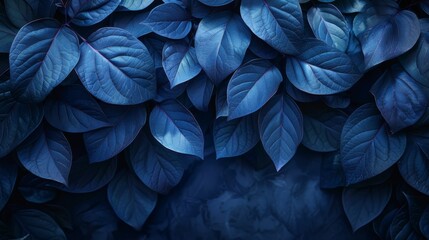   Blue leaves cluster against dark backdrop Text space on left  or Clustered blue leaves contrast against dark background Text area on left side (4