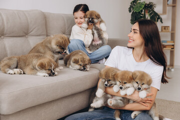 Smiling woman and her daughter playing with Akita Inu puppies at home or dog shelter