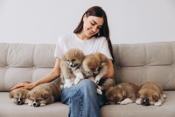 Portrait of happy smiling millennial woman hugging and playing group Akita Inu puppies on sofa at...