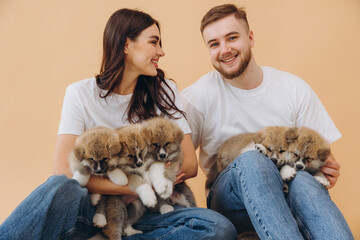 Happy beautiful couple in love or dog shelter volunteers caring and playing with little funny Akita Inu puppies on beige background, world animal day