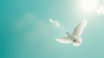 White dove in flight against clear blue sky with sunrays