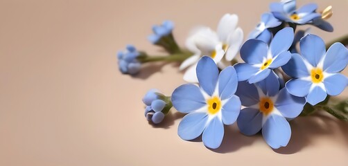empty space, soft background, Forget-me-not Flowers, illustration