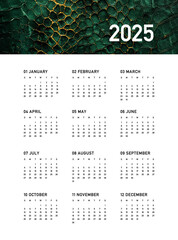 Calendar 2025, the year of the green snake according to the Chinese calendar, week starts on Sunday, on white background with green snake skin texture insert. Business calendar in a minimalist style.