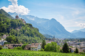 Vaduz town and castle, Lichtenstein - obrazy, fototapety, plakaty