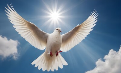 Majestic White Dove Flying Gracefully Against a Sunlit Sky