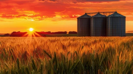 Keuken foto achterwand Agricultural Silos for storage and drying of grains, Beautiful landscape of sunset over wheat field at summer © Alizeh