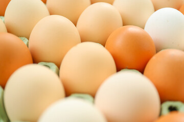 Chicken eggs in a cardboard box