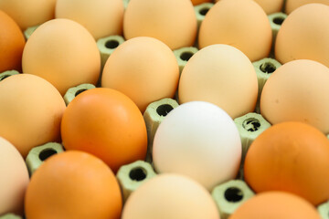 Chicken eggs in a cardboard box