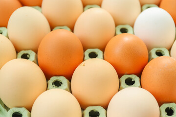 Chicken eggs in a cardboard box