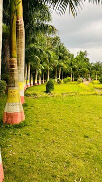 beautiful scenery of lalbagh botanical garden