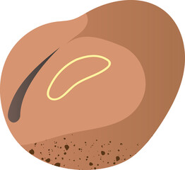 Organic bean for healthy food