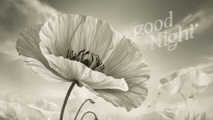 A black and white photograph showcasing a delicate poppy flower in full bloom. The words "good night" are elegantly scripted in the upper right corner, adding to the tranquil vibe of the image. T...