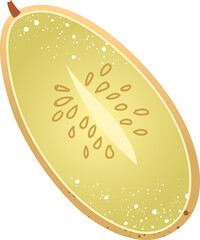 Piece pepino melon fresh fruit