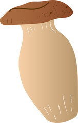 Mushrooms king oyster organic food