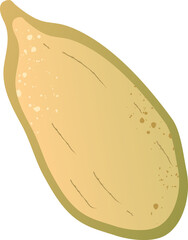 Whole pumpkin seed organic nut