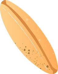 Wheat grain seed organic food