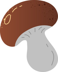 Mushrooms boletus fresh organic food