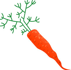 Whole carrot organic fresh vegetables