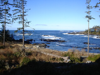 “Coastal Calm” - A picturesque coastal landscape where the serenity of land meets the gentle embrace of the sea under the vast expanse of a clear sky.